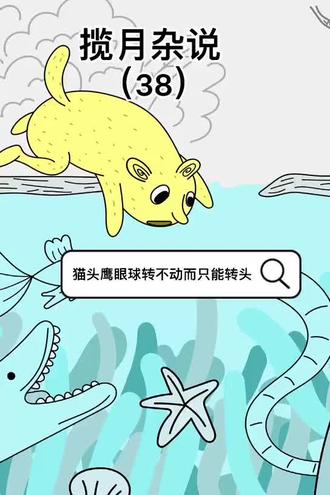 猫头鹰眼球转不动而只能转头#猫头鹰 #你不知道的小知识