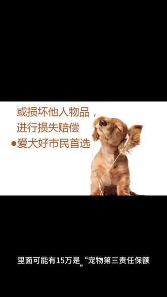 #宠物 #宠物保险 #宠物医疗 #金融#保险知识