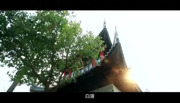千年古镇白蒲综合片#白蒲古镇 #长寿之乡