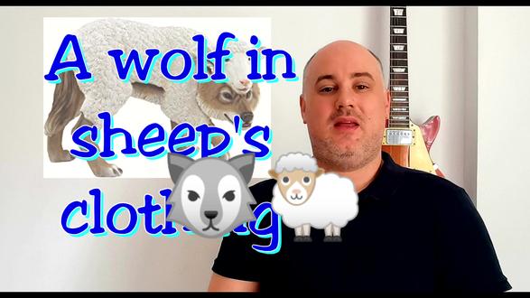 A wolf in sheep's clothing 是什么意思?#英语口语 #英语 #英文谁不会 #英语老师 #老外 #英语成语