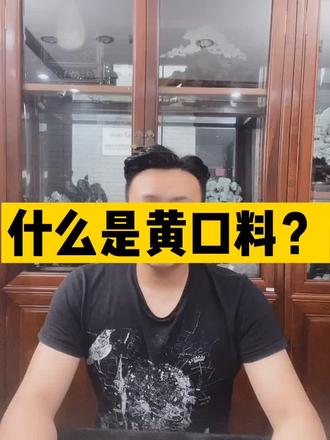 你们知道什么是黄口料吗?#玉石 #和田玉 #科普 #珠宝 @DOU+小助手 #每种热爱皆为风光