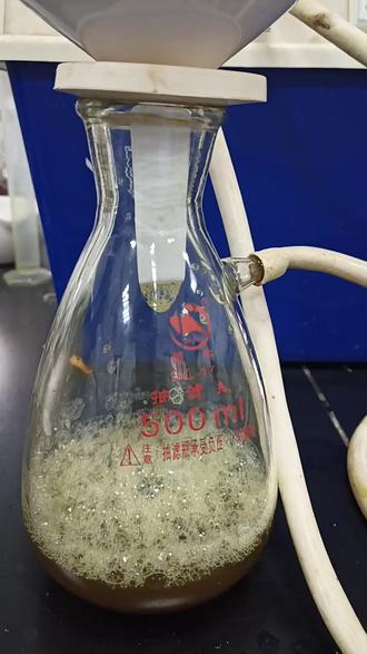 槐米中芦丁的提取、精制和鉴定#化学实验