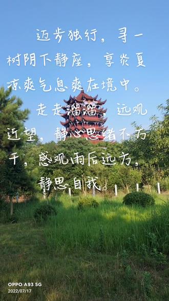 家门口的库区河流,/横排头/属江淮分水支流。江水和山水合流至此,此点至淮河,流渠是人工挖掘,载入近代史册。