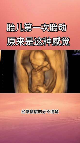 姐妹们都是多少周开始胎动的呀,听说后壁胎盘和肚皮薄的胎动早,你们每天数不数胎动呀#胎动 #胎动是什么感觉 #数胎动
