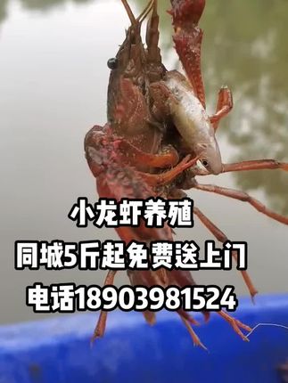 高情商女生上班聊天话题,高情商女生上班聊天话题:轻松开启职场人际关系的秘诀