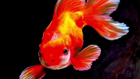 E2 Efcj4fo4gdm E2 Efcj4fo4gdm