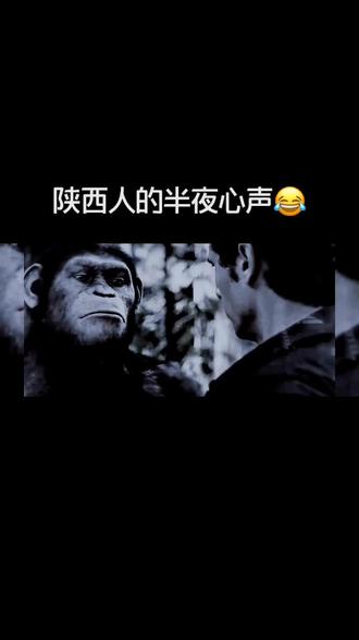 我们陕西把这样的朋友叫日吧歘伙计😂#日吧歘伙计