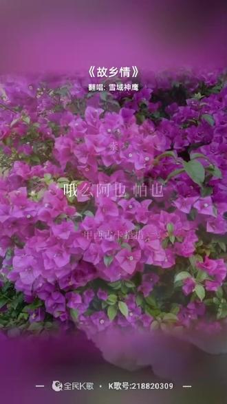 一首藏语歌曲!故乡情!敬给亲友!