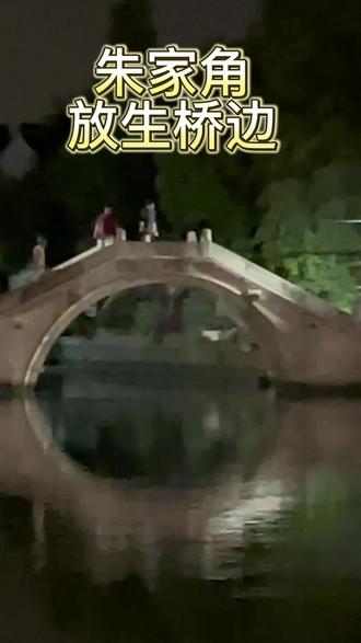 放生桥边小桥上抓鱼!简直不能忍。