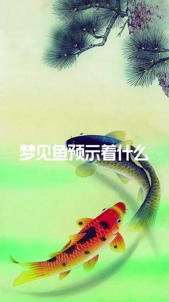 梦见鱼预示着什么#国学经典 #传统文化