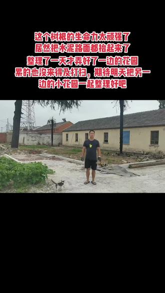 #上热门 整理了一天才收拾了一边的小花园,期待明天一起弄好的效果吧!#向往的生活 #家庭 #记录真实生活 #旧房改造 #我的乡村生活 #农村生活 #亲子 #传递正能量 #创作灵感