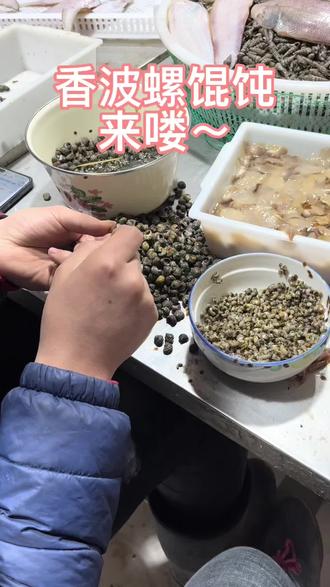 抠肉两小时,吃饭二十分钟~香波螺馄饨特别鲜香,找个愿意给你抠香波螺肉的老公吧~#海鲜 #海鲜原产地 #海鲜美食 #香波螺