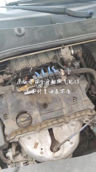 爱丽舍升级燃气配件#抖音汽车人共创计划