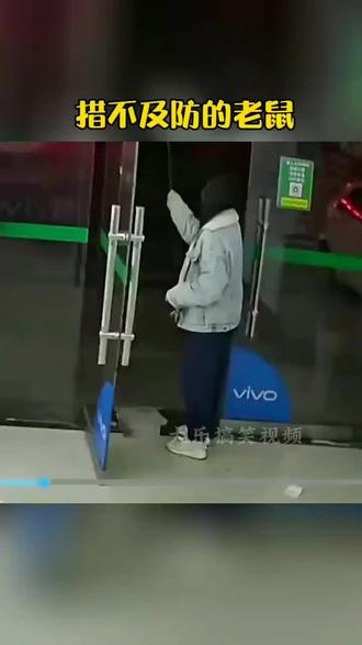 老鼠就是喜欢裤脚,
就喜欢钻进去热乎,
为何啥呢,有谁知道吗,#老鼠老鼠别猖狂