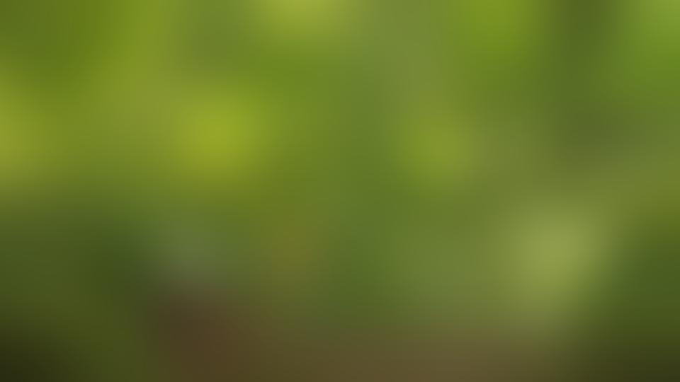 html5+css3完整教程 - 抖音