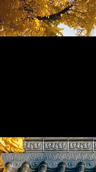 家有男孩的,每天默念三遍,愿他前程似锦,步步高升。#祝福孩子#望子成龙#可怜天下父母心#人生感悟#育儿