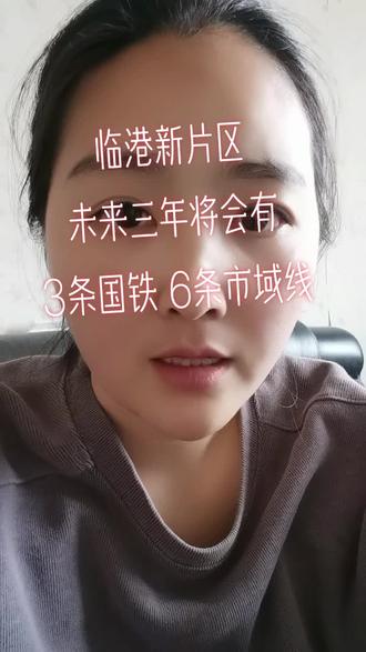 临港新片区,未来三年将会有的轨道交通
