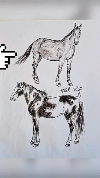 猜出来哪个是骡子发在评论区有惊喜#想画就画
