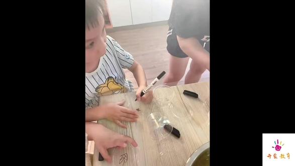 #种子发芽 #无土栽培蔬菜 #少儿美术教育 绿豆发芽🌱的生长过程通过观察了解!让小朋友创造一副有趣的作品吧#少儿美术 #趣味实验