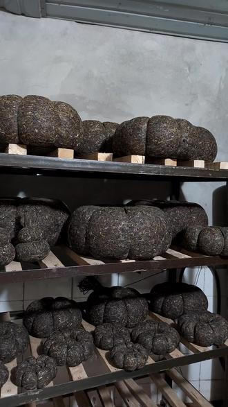 大茶瓜茶大自然的搬运工