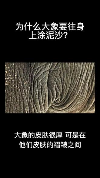 为什么大象要往身上涂泥沙?#关注我每天分享知识 #知识分享欢迎大家讨论😂