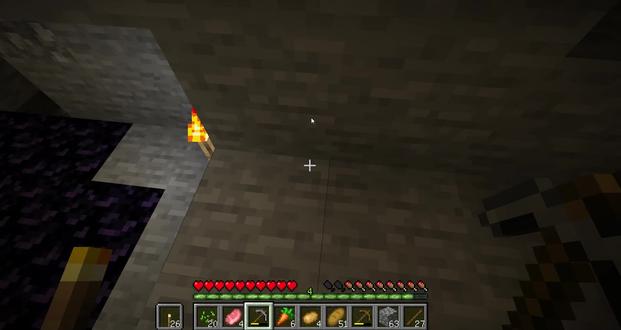 我的世界1.16生存