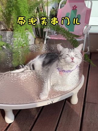 王泡芙