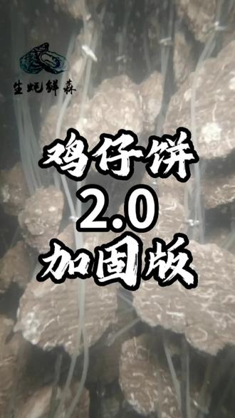鸡仔饼 2.0加固板,优点 水泥是旧饼,绳子是白胶丝加固。这样可以产到40-50斤都没事#生蚝鲜森 #三倍体生蚝苗#白蚝苗 #人工白蚝苗