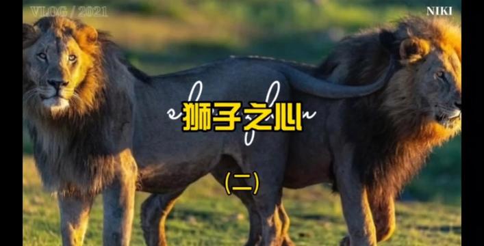 收藏慢慢看系列——非常好看,很精彩得一部片子(二)
片中采用拟人语气讲述苏琪与莱诺斯这两只小狮子跟着成年狮群生活,有了母亲麦琪贝在身边守候与指导,它们将在草原世界中找到立足之地。然而,天有不测风云,当河对岸的狮子残酷地对它们展开攻击时,原本祥和宁静的日子将被破坏殆尽,家族亲情、爱情与忠诚将受到考验……@DOU+小助手 @抖音小助手
#遵守法律请勿非法饲养或买卖活动 #狮子