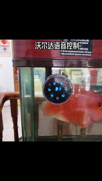 沃尔达鱼缸语音控制排插