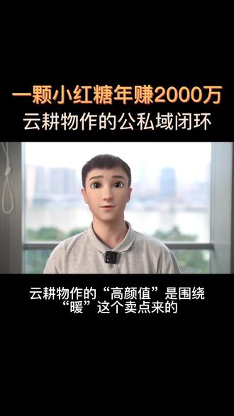 一颗小红糖,年赚2000万,云耕物作是如何将几元钱的红糖卖出上百元高价?#创业 #干货分享 #云耕物作 #商业思维