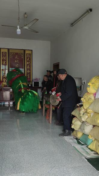 小狮子回头眨眨眼,可爱可爱啦