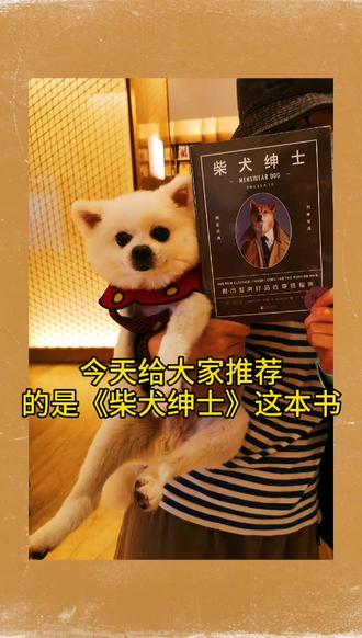 #我是荐书官 @当当网 #萌宠 披萨给大家推荐《柴犬绅士》这本书,很可爱的柴犬穿搭@抖音小助手