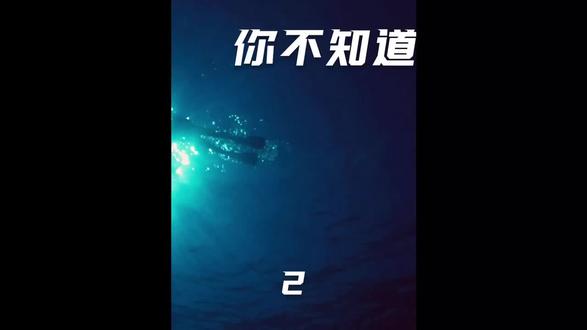 #探索世界 #科普 #抖音看世界 知道蓝鲸最深能下潜多少米吗?