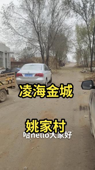 凌海金城姚家二铁子超市球机安装
凌海地区监控安装-售后无忧
157541434444