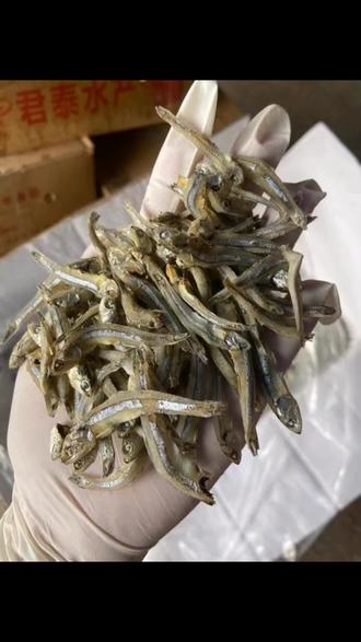 本地公鱼仔38元斤两斤起包邮可香煎酥炸炒辣椒炒菜做酱