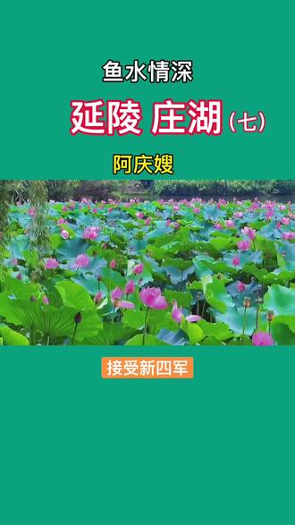 庄湖军民鱼水情深的点点滴滴
#延陵庄湖 @抖音小助手