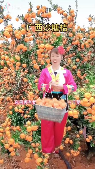 #丰收的季节硕果累累 #桔子🍊 代表吉祥如意#2023🐇兔年吉祥