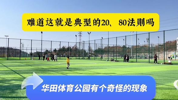 周末,华田体育公园人山人海,殊不知却隐藏着世间的20.80法则 #威海华田体育公园 #2080法则 #精致城市幸福威海 #足球场