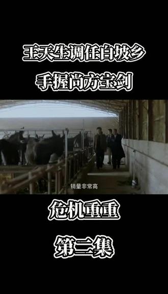 啊父老乡亲第②集 王天生临危授命,手持尚方宝剑调任白坡乡