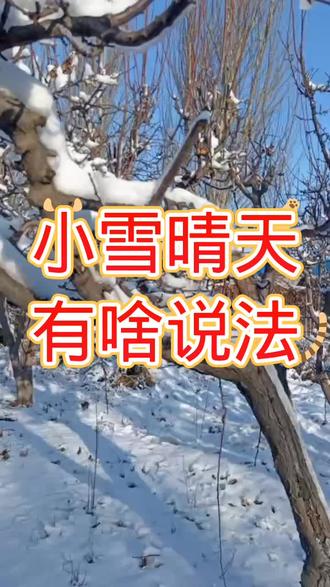小雪晴天有啥说法#农业种植 #小雪节气 #三农 @抖音热点宝