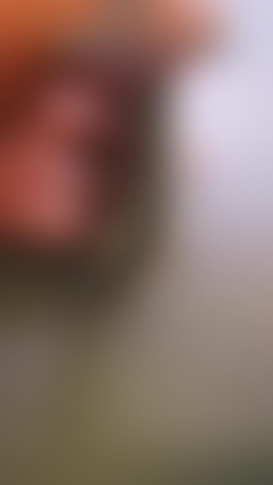 魅蓝e2屏幕总成带框 - 抖音