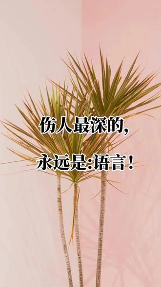 每日一句 伤人最深的,永远是语言!