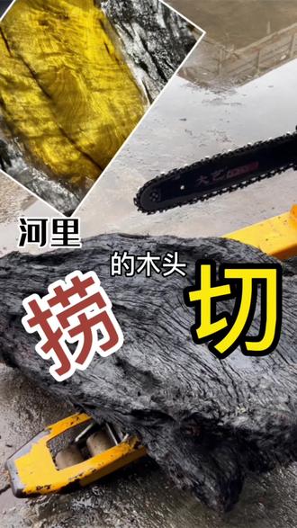 #金丝楠阴沉木 捡了个漏 快快快 看看你们那里河里有没有 赶紧去捞!