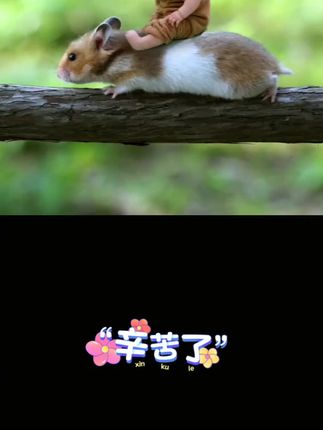 和 @波妞波力 一起 #合拍 
