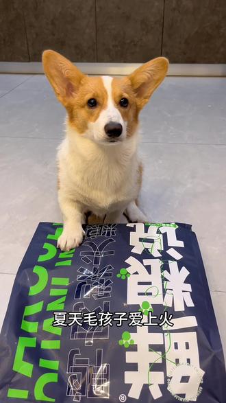 夏天怕毛孩子上火就来这款鸭肉梨犬粮,满满的肉松和冻干,适合所有品种哦!618大活动闭眼囤#抖音618好物节 #狗粮推荐