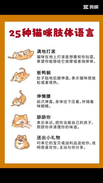 25种猫咪🐱肢体语言!了解一下!#宠物知识 #今日分享
