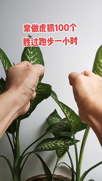 常做虎抓好处多,#锻炼