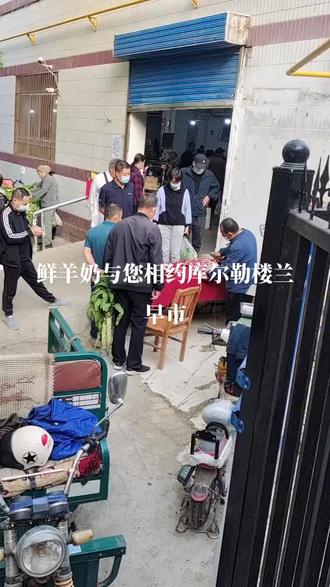 鲜羊奶与您相约库尔勒楼兰早市#新疆#农村#抖音助农 大西北奶羊养殖