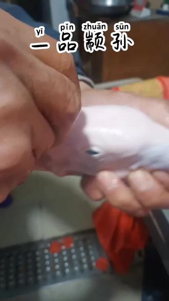 #一品颛孙 鹅鞭为什么在鹅腚上?🌚☀